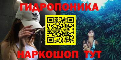 альфа пвп Заводоуковск