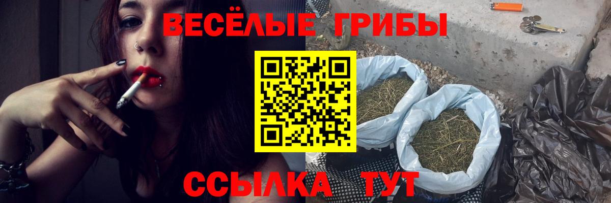 Лесосибирск  Псилоцибиновые грибы GOLDEN TEACHER  Вход с VPN 